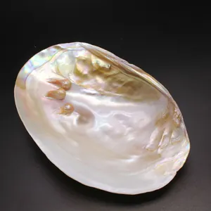 Primer plano de una bandeja de concha natural iridiscente para joyas con perlas.