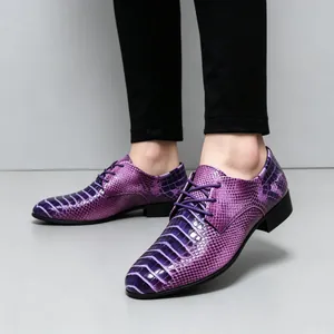 Nahaufnahme lila Herrenschuhe mit Schlangenmuster, spitz zulaufende elegante Schuhe