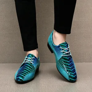 Detail der herrenschuhe mit blauem Farbverlauf, Schlangenmuster und weißen Schnürsenkeln