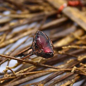 Macro di un anello medievale vintage con pietra naturale rossa su rami secchi di legno scuro.