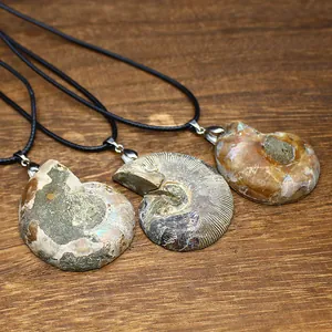 Detailed macro view of natural ammonite fossil pendants featuring unique spiral patterns