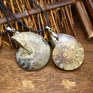Detailed view of natural ammonite fossil pendants including a sliced iridescent shell.