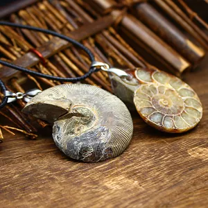Close-up macro shot of natural ammonite fossil pendants with detailed spiral patterns