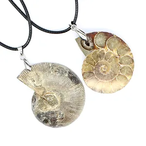 Detailed macro view showing textures of two natural spiral ammonite fossil slice pendants