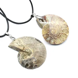 Detail macro view showing the natural spiral texture of ammonite fossil pendants