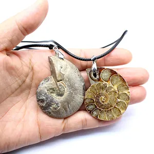 Natural Stone Ammonite Fossil Pendant Necklace Vintage Shell Slice Spiral Jewelry With Black Cord For Men Women Jewelry