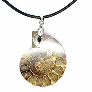 Close-up of a natural ammonite fossil slice pendant necklace featuring spiral patterns.