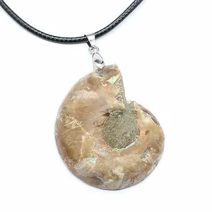 Detailed close-up showing iridescent patches on a natural ammonite fossil sliced pendant