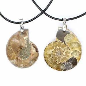 Detailed close-up of natural ammonite fossil pendant showing spiral patterns and texture