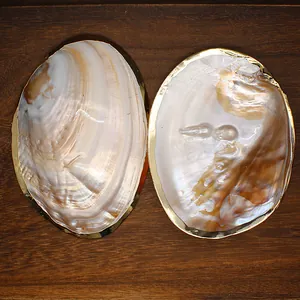 Detailed macro view of natural pearl shell with gold-plated edges on dark wood background