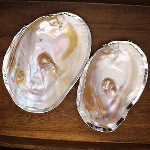 Detail view of two iridescent mother of pearl oyster shells with silver edges on wood