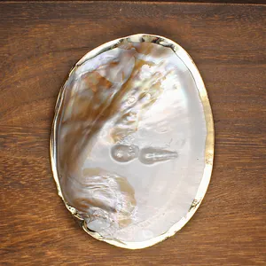 Close-up of a natural pearl mussel shell with a golden rim on a dark wood background.