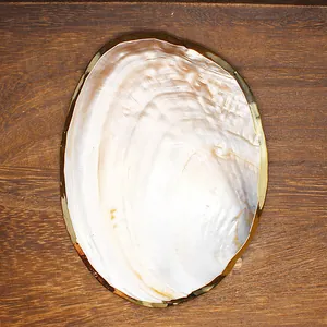 Macro view of a natural freshwater pearl shell tray with an elegant gold rim