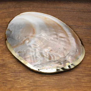 Detail of a natural iridescent shell with a luxury gold-plated rim for home decor