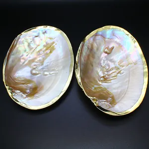Detailed view of natural freshwater pearl shell tray with elegant gilded gold edges