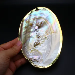 Macro view of a natural freshwater pearl shell with gold-plated edges and iridescent nacre