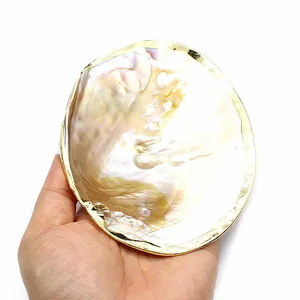 Detail of natural freshwater pearl shell with gold-plated rim used as a decorative tray.