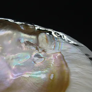 Close-up of natural mother-of-pearl shell with elegant metallic gold-plated rim