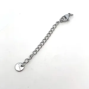Close-up of stainless steel extension chain with lobster clasp and round tail tag.