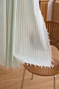 Macro view showing the soft texture and fringe detail of a light green striped curtain