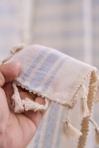 Detailed close-up showing the texture of blue striped curtain fabric with tassels.