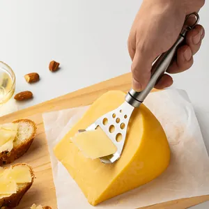 Versatile 2-in-1 stainless steel cheese slicer and herb stripper kitchen gadget