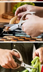 Stainless steel kitchen scissors cutting fresh shrimp and broccoli in a kitchen setting