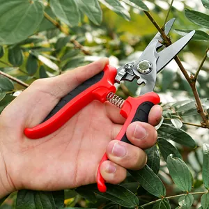 Sécateur de jardin professionnel avec poignée ergonomique rouge coupant une branche