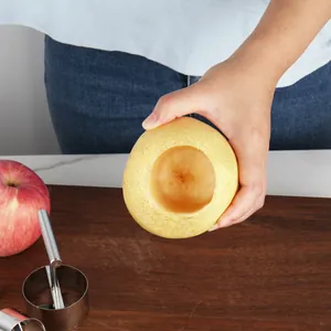Efficient 304 stainless steel fruit corer tool for removing pear and apple cores easily