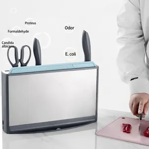 Smart ozone disinfection knife stand and cutting board holder for home kitchen storage