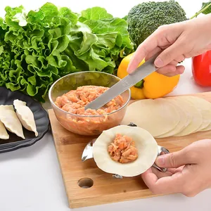 Professional 304 stainless steel dumpling maker press and filling spoon kit shown in use