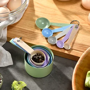 Ensemble de 10 Pièces Tasses et Cuillères à Mesurer en Acier Inoxydable Multicolore Outils de Pâtisserie avec Échelle