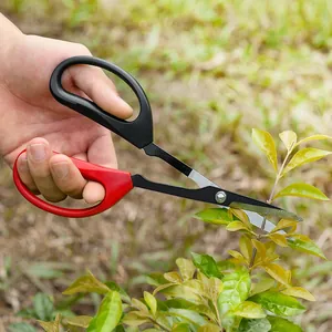 Professional stainless steel garden pruning shears held by hand cutting plant branches