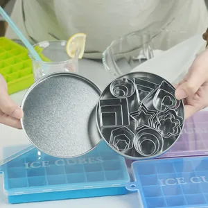 24Pcs Mini Geometric Cookie Cutters Set Stainless Steel Small Biscuit Fruit Molds Heart Star Flower Shapes With Storage Tin Box