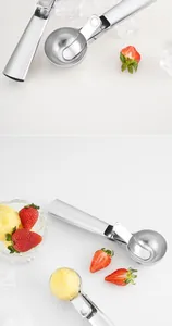 Detailed shot of stainless steel ice cream scoop with fresh strawberries and sorbet