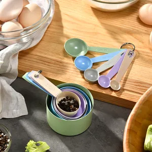 Lot de 10 tasses et cuillères à mesurer colorées en acier inoxydable avec échelles