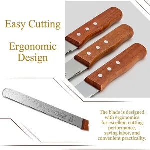 Cuchillo para pan de acero inoxidable de 10 pulgadas con mango de madera.