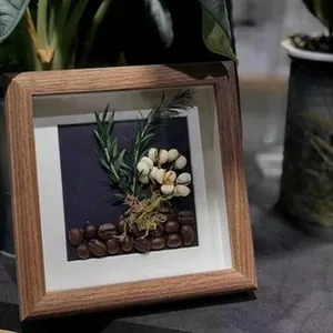 Gros plan d'un cadre vitrine creux en bois de noyer avec exposition de spécimens botaniques.