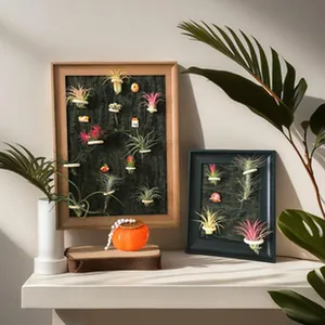 Détail de deux cadres 3D présentant des tillandsias sur un buffet crème avec des ombres