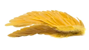 Dettaglio di ali d'angelo in piume giallo brillante per cosplay e spettacoli teatrali