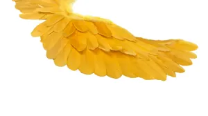 Dettaglio di piume gialle a strati su ali d'angelo per cosplay e costumi per bambini
