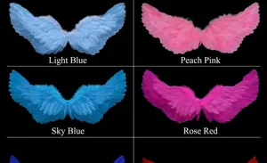 Détails montrant les différentes couleurs d'ailes d'ange en plumes pour cosplay et spectacles
