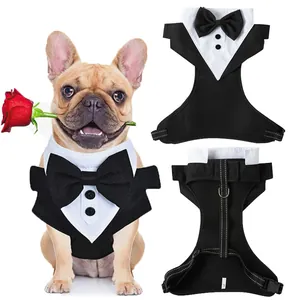 Detailansicht eines Hunde-Tuxedo-Geschirrs mit Vorder- und Rückansicht und Model.