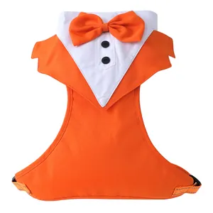Detailansicht eines orangefarbenen Haustiergeschirrs im Smoking-Stil mit Fliege