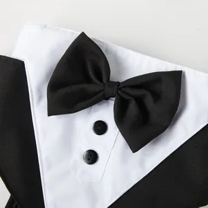 Detail einer Hunde-Tuxedo-Weste mit schwarzer Fliege und Knöpfen für formelle Anlässe.