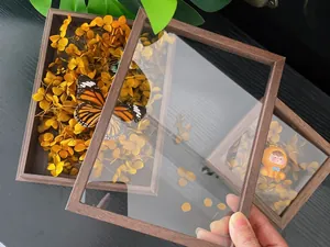 Détail d'un cadre photo 3D en noyer avec verre haute transparence pour spécimens