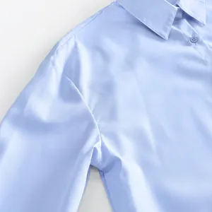 Close-up of the collar and shoulder detail on a light blue French style shirt dress