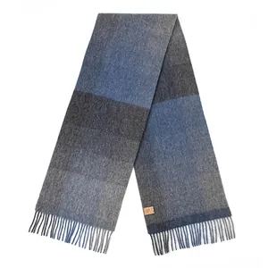 Eleganter blau-grauer Wollschal mit Karomuster und Fransen auf weißem Hintergrund
