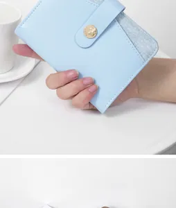 Detailed view of light blue multi-functional passport holder with elegant snap closure