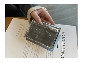 Close-up of a silver metallic leather card holder held in hand against a magazine